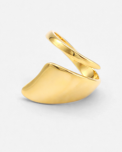 Terry Ring
