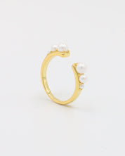 Regan Ring