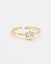 Shay Ring
