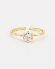Shay Ring