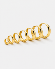 Charles Earring