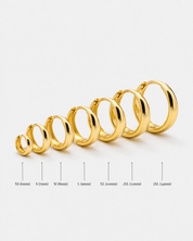 Charles Earring