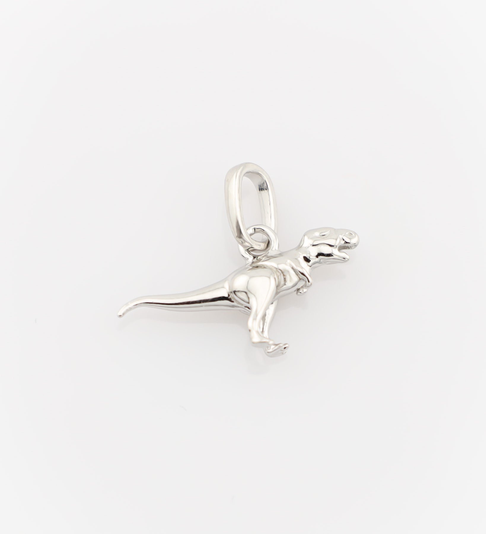 Silver dog pendant on a white background