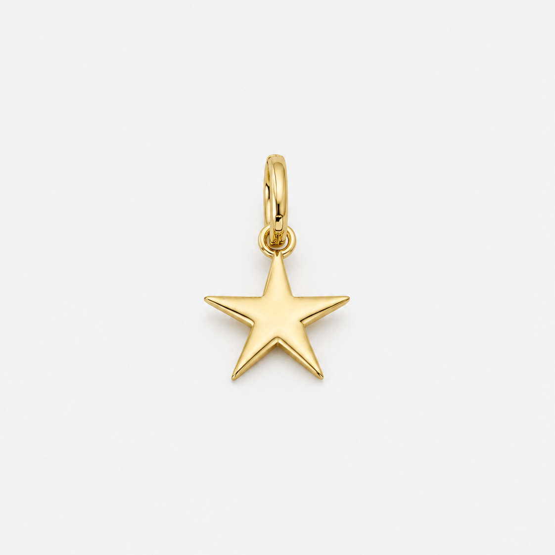 DEMONDStern_Pendant_Gold_with_Hook.png
