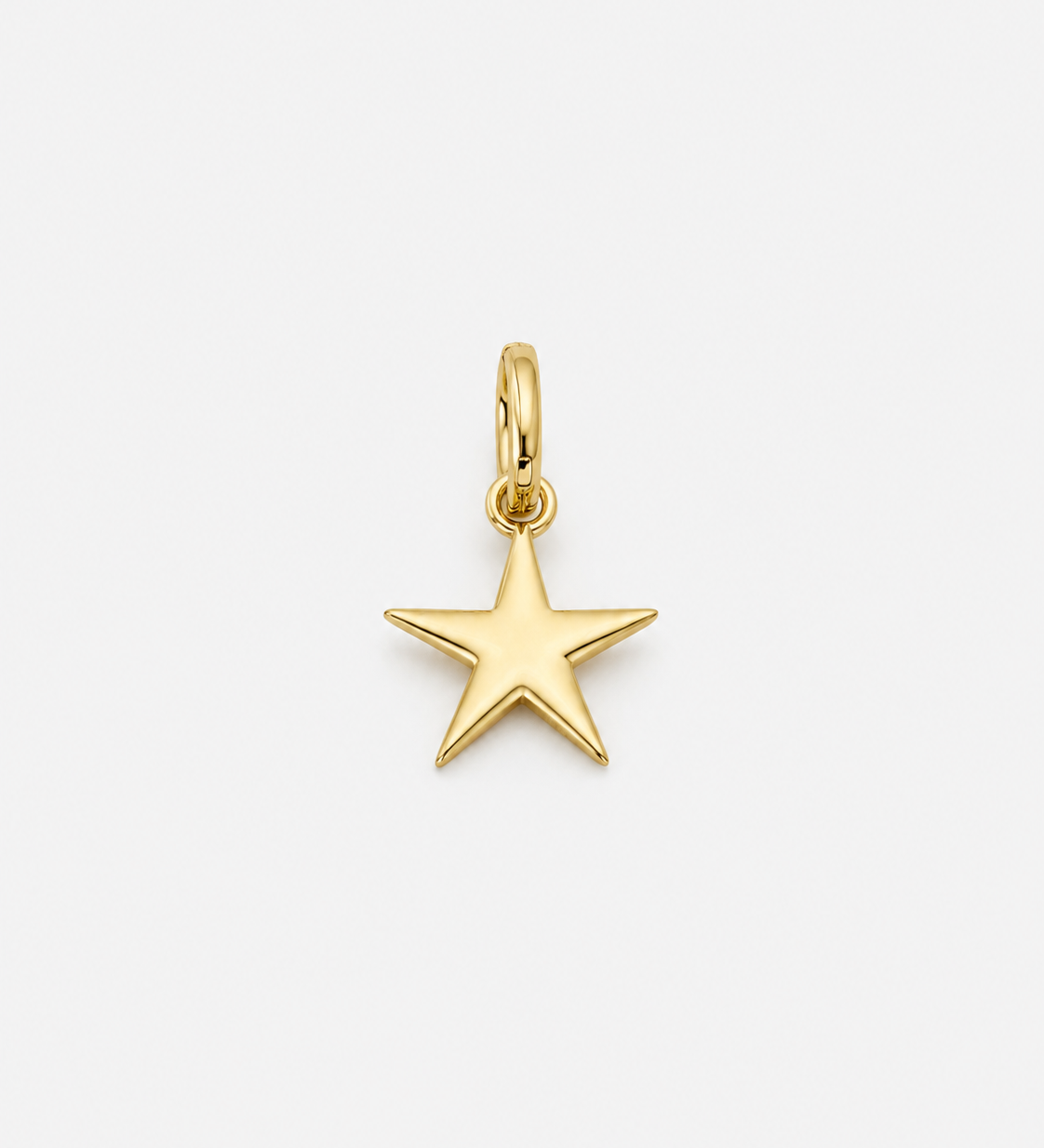 DEMONDStern_Pendant_Gold_with_Hook.png