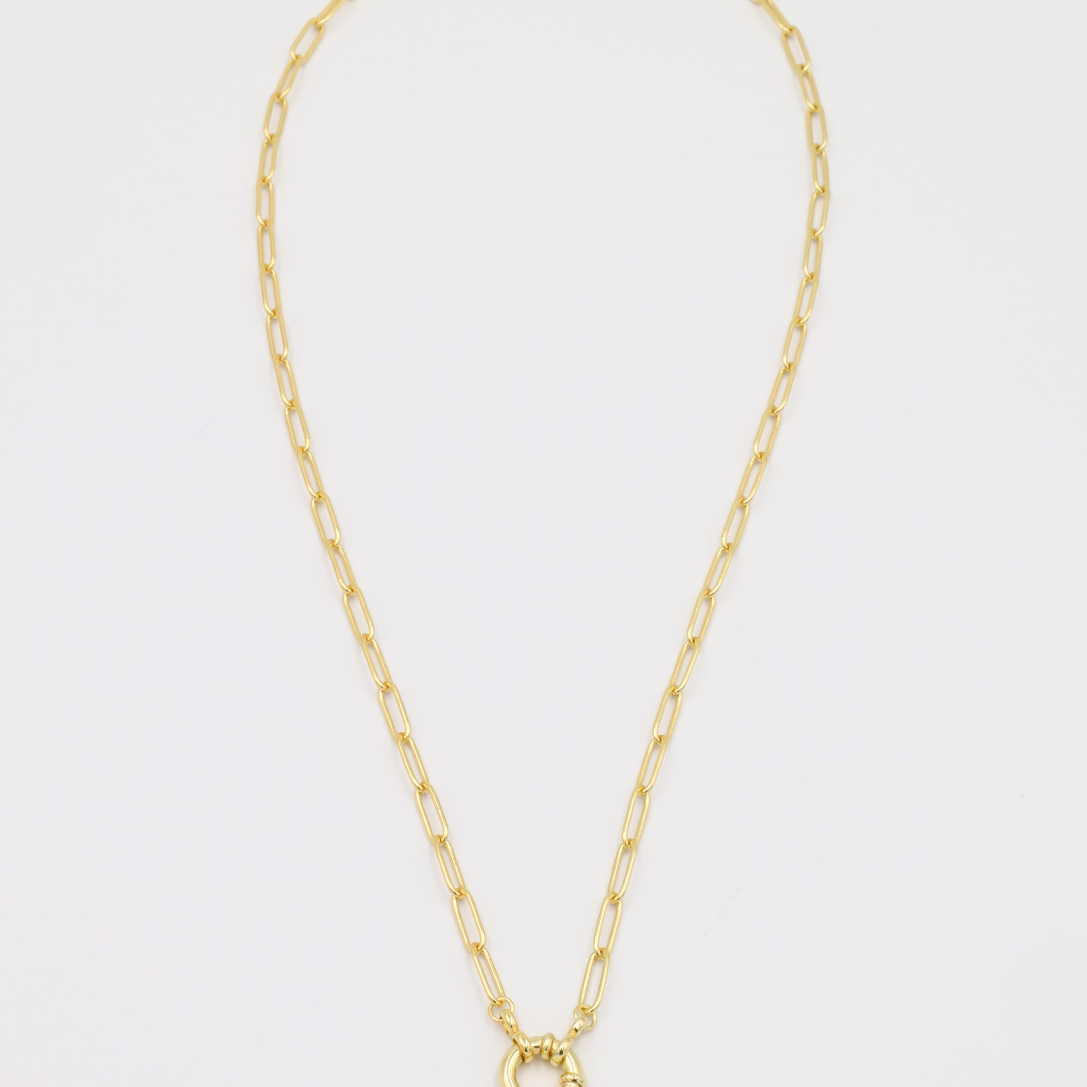 Full view of the gold-plated Hunter necklace with clasp.