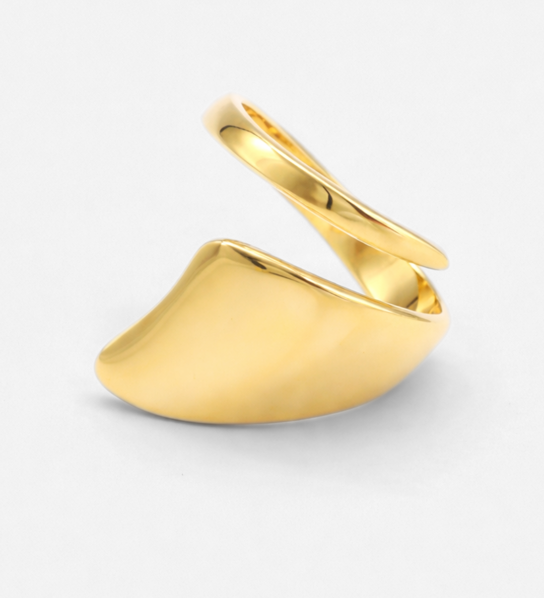Terry_Ring_Gold_1.png