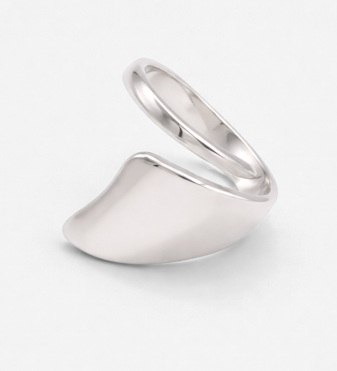 Terry_Ring_Silver_1.png
