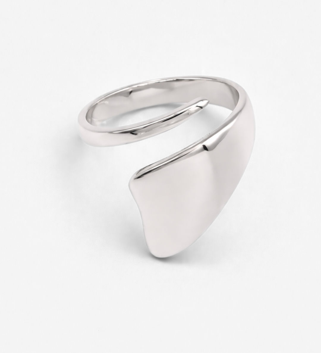 Terry_Ring_Silver_2.png